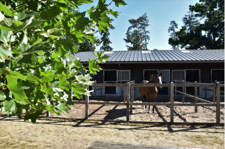 Manege bij Camping Samoza in het bos op de Veluwe VMP090